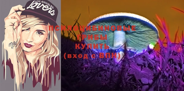 дживик Заволжье
